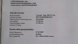 Triumph Tiger 900 GT Pro (2024 - 26)  (6)