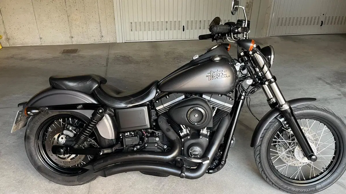 Harley-Davidson 1690 Street Bob Special (2015 - 16) - FXDB  (4)
