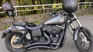 Harley-Davidson 1690 Street Bob Special (2015 - 16) - FXDB  (8)