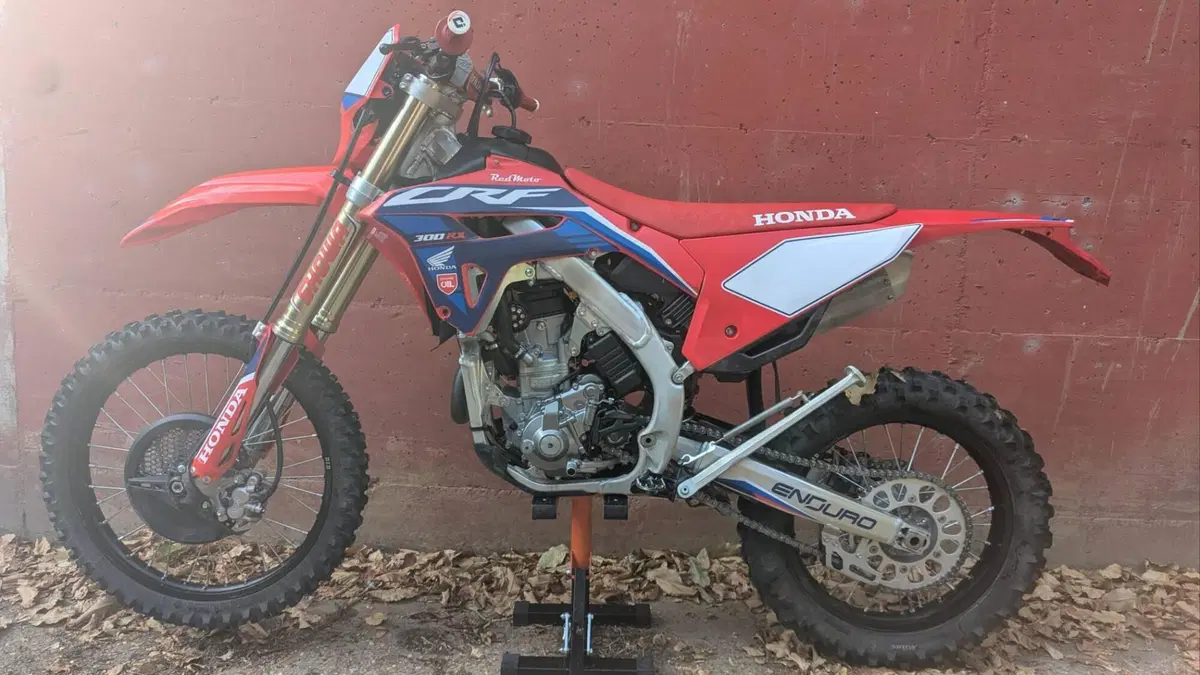 Honda CRF 300RX Enduro (2023)  (7)