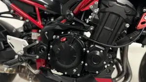 Kawasaki Z 900 A2 (2021 - 24)  (4)
