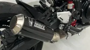 Kawasaki Z 900 A2 (2021 - 24)  (5)