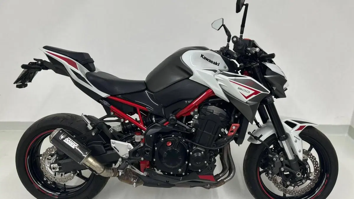 Kawasaki Z 900 A2 (2021 - 24)  (3)