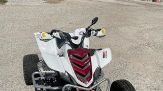 Yamaha YZF 600 R Thundercat usata