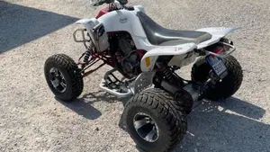 Yamaha YZF 600 R Thundercat  (2)