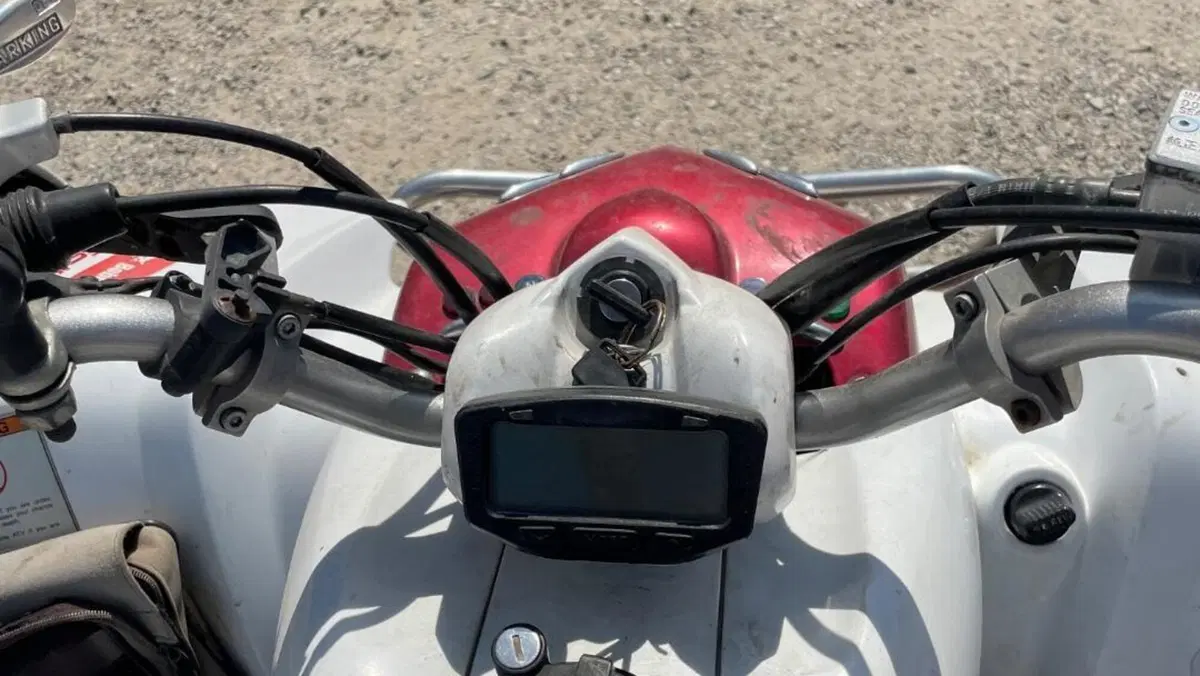 Yamaha YZF 600 R Thundercat  (4)