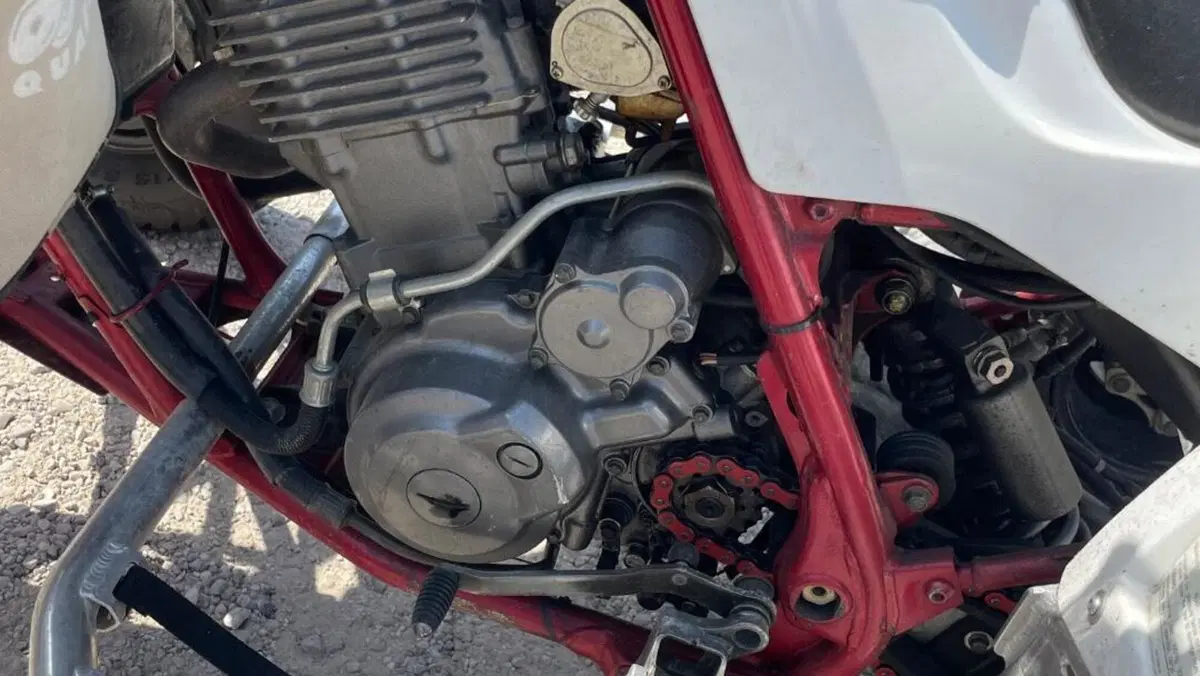 Yamaha YZF 600 R Thundercat  (5)