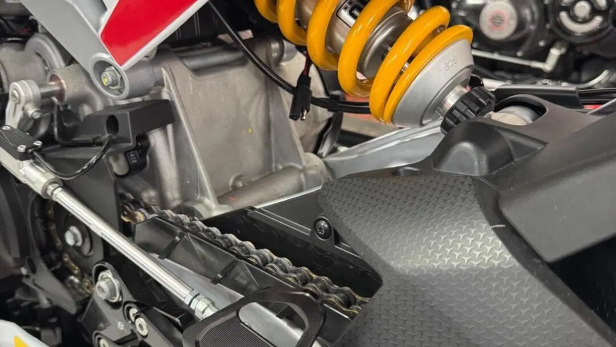Aprilia RS 660 (2020 - 24)  (6)