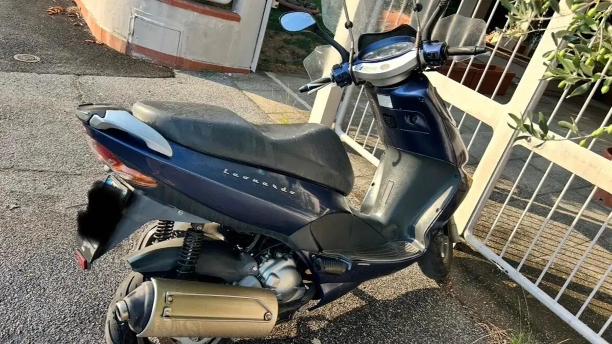 Aprilia Leonardo 250 ST (2001 - 04) 