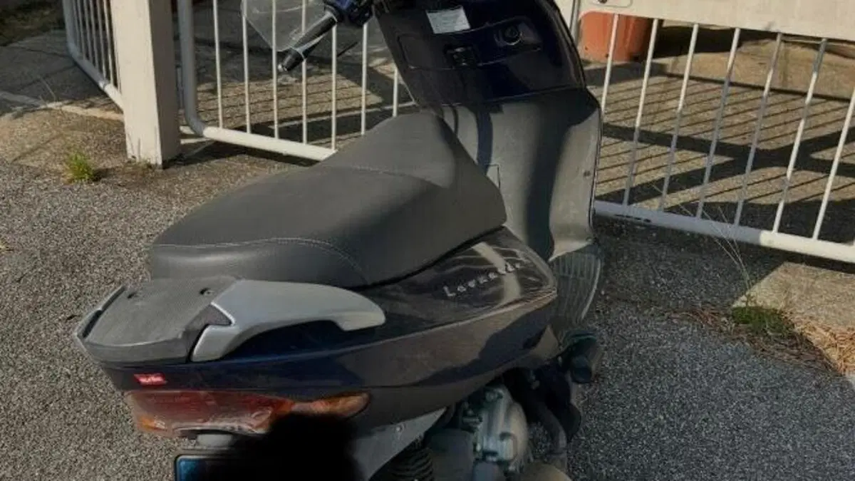 Aprilia Leonardo 250 ST (2001 - 04)  (2)