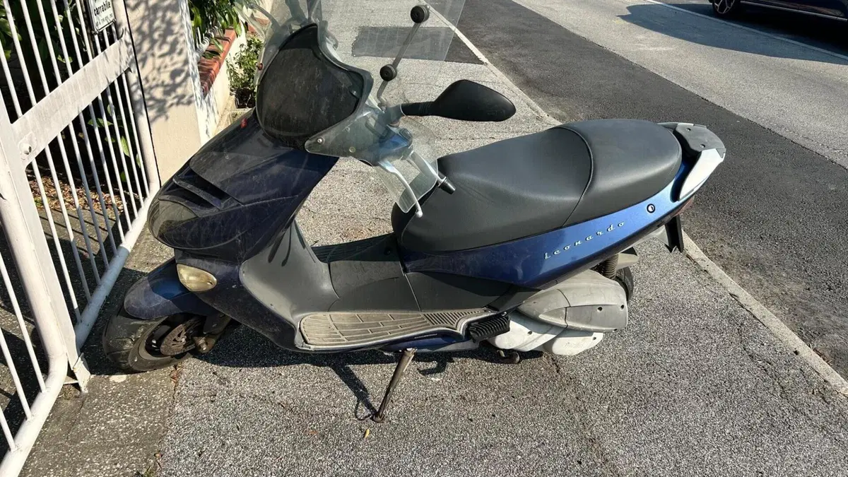 Aprilia Leonardo 250 ST (2001 - 04)  (3)