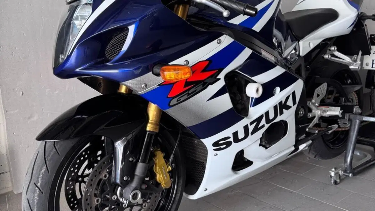 Suzuki GSX-R1000 (2003 - 04)  (2)