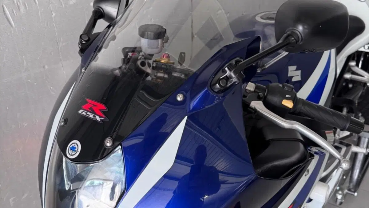 Suzuki GSX-R1000 (2003 - 04)  (8)