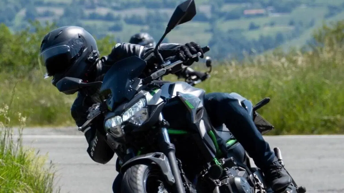 Kawasaki Z 650 Sport (2021 - 24)  (5)