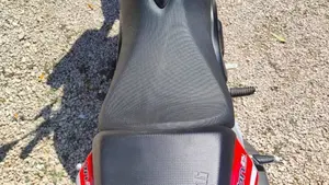 Benelli BN 251 (2017 - 20)  (5)