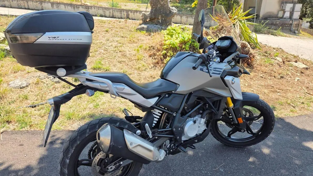 Bmw G 310 GS (2017 - 20)  (12)