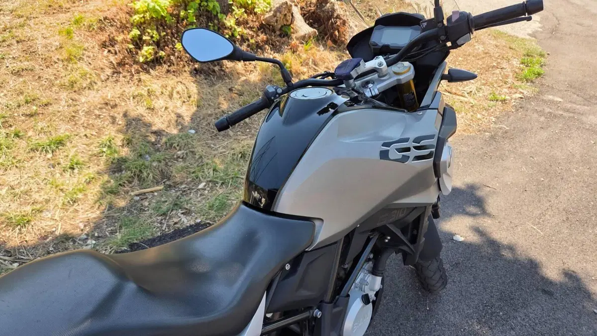 Bmw G 310 GS (2017 - 20)  (14)