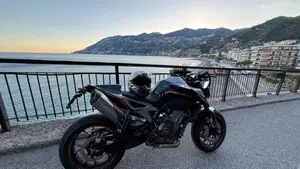 KTM 790 Duke (2018 - 20)  (6)