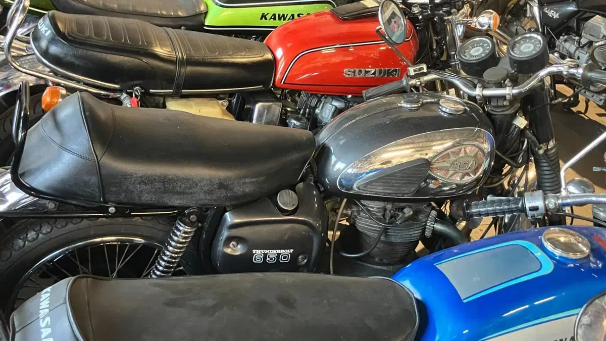 Bsa   (4)