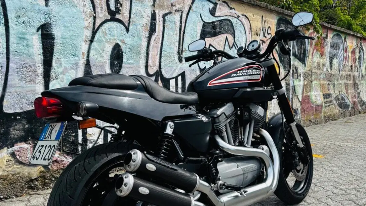 Harley-Davidson 1200 XR (2009 - 12)  (9)