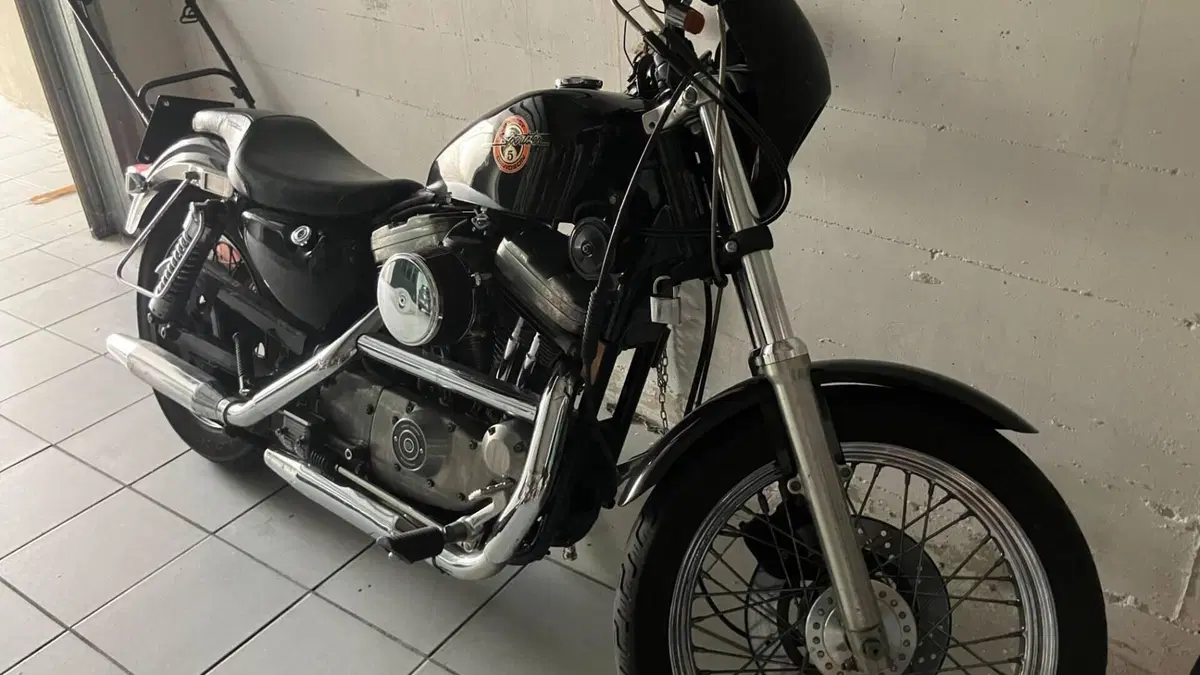 Harley-Davidson   (2)