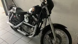 Harley-Davidson   (2)