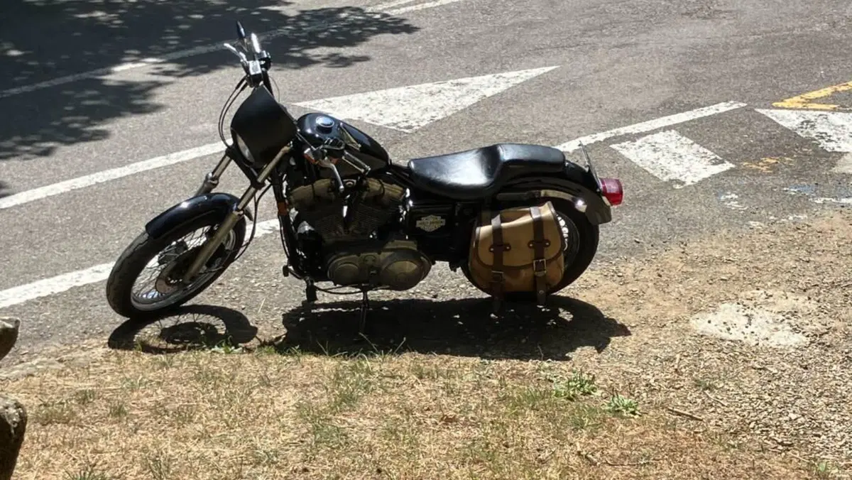 Harley-Davidson   (3)