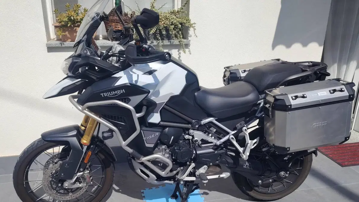 Triumph Tiger 1200 Rally Explorer (2022 - 23) 