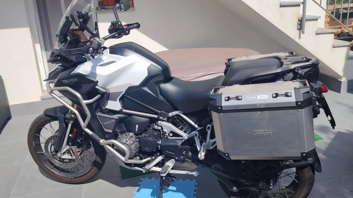 Triumph Tiger 1200 Rally Explorer (2022 - 23)  (7)