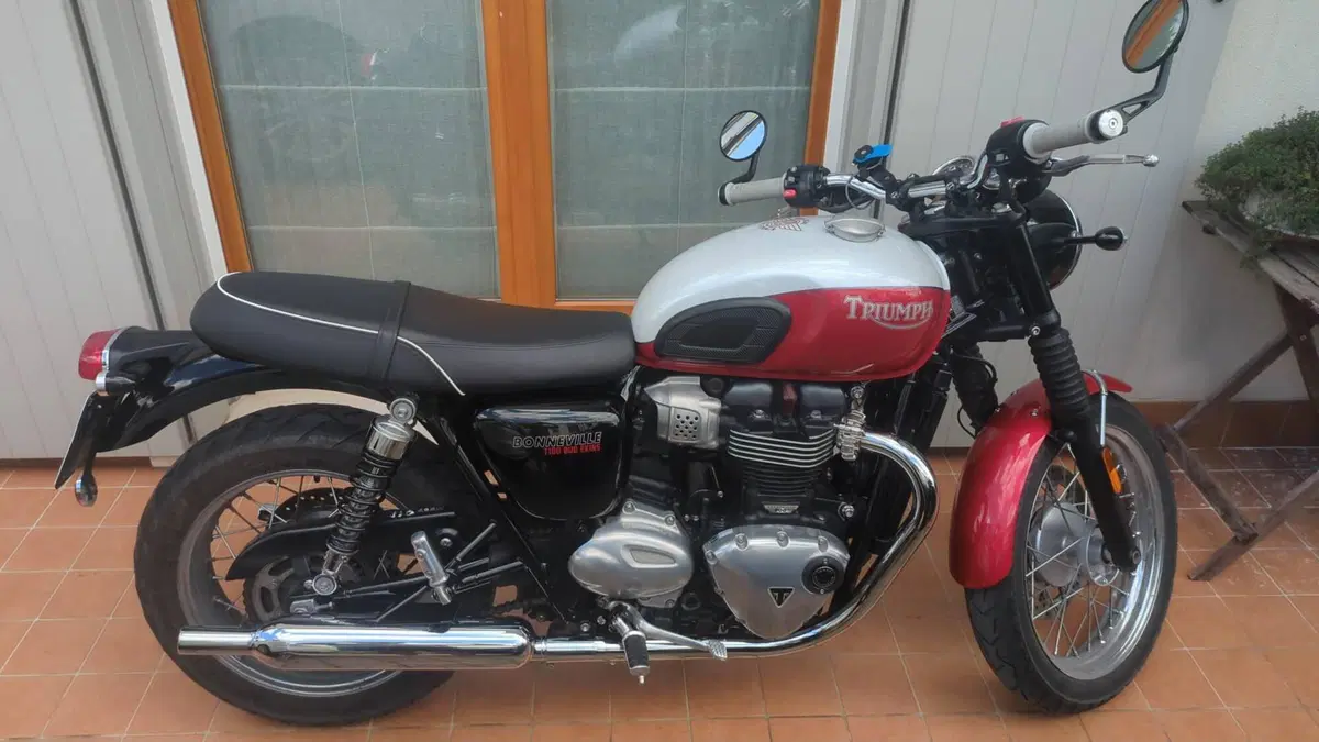 Triumph Bonneville T100 Bud Ekins SE (2020) 