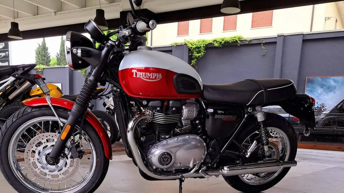 Triumph Bonneville T100 Bud Ekins SE (2020)  (5)