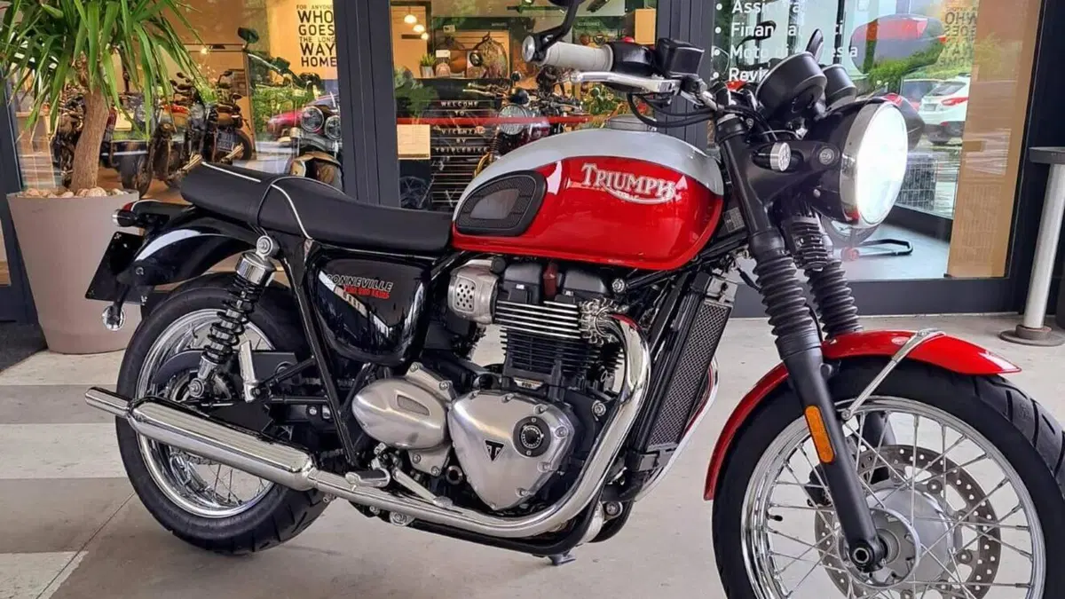 Triumph Bonneville T100 Bud Ekins SE (2020)  (6)