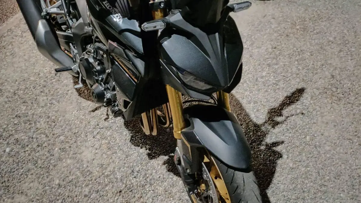Honda CB 1000 Hornet SP (2025 - 26)  (7)