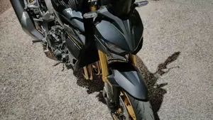 Honda CB 1000 Hornet SP (2025 - 26)  (7)
