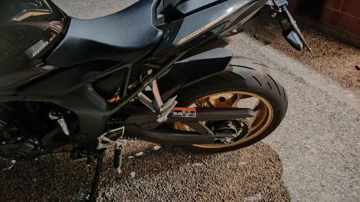Honda CB 1000 Hornet SP (2025 - 26)  (10)