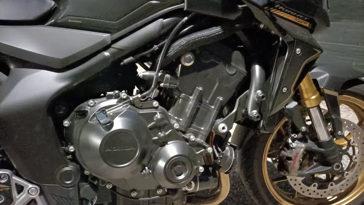 Honda CB 1000 Hornet SP (2025 - 26)  (12)