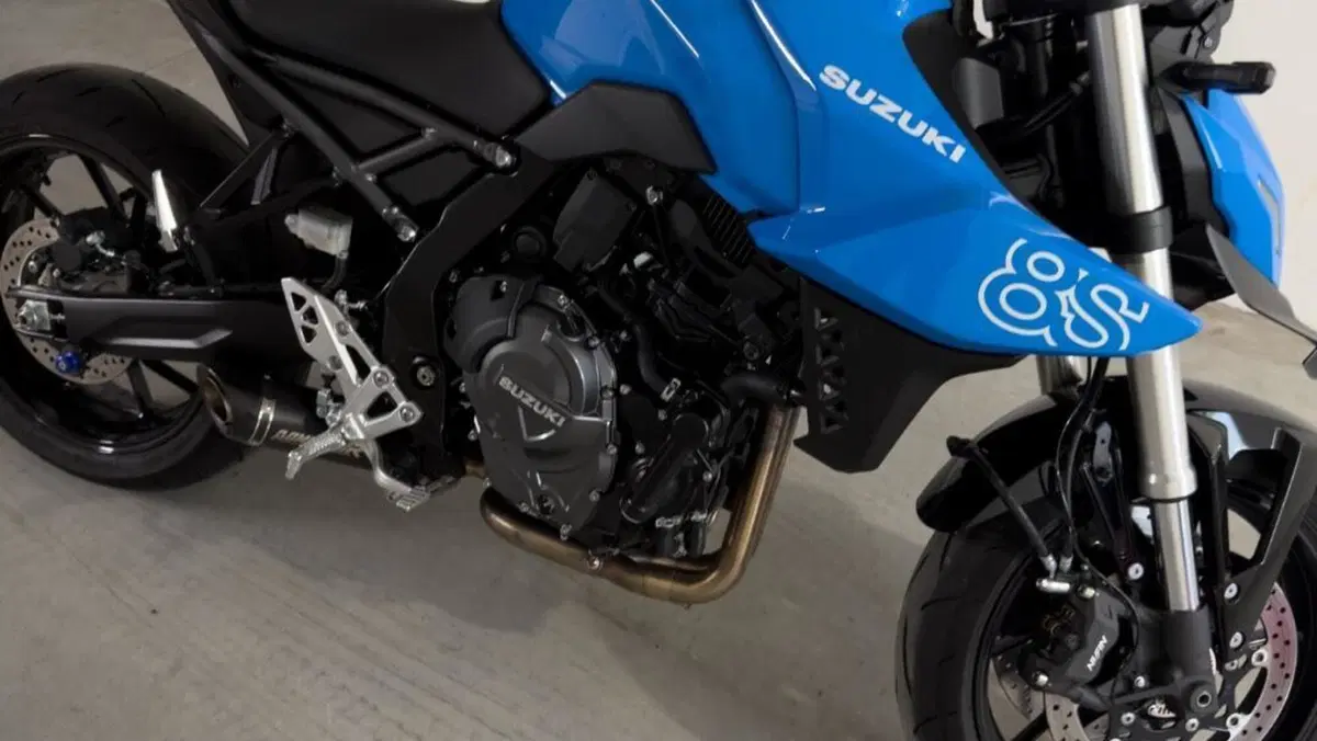 Suzuki GSX-8S (2025 - 26)  (2)