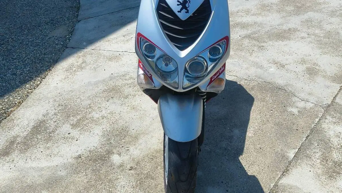 Peugeot X-Fight 50 WRC  (2)