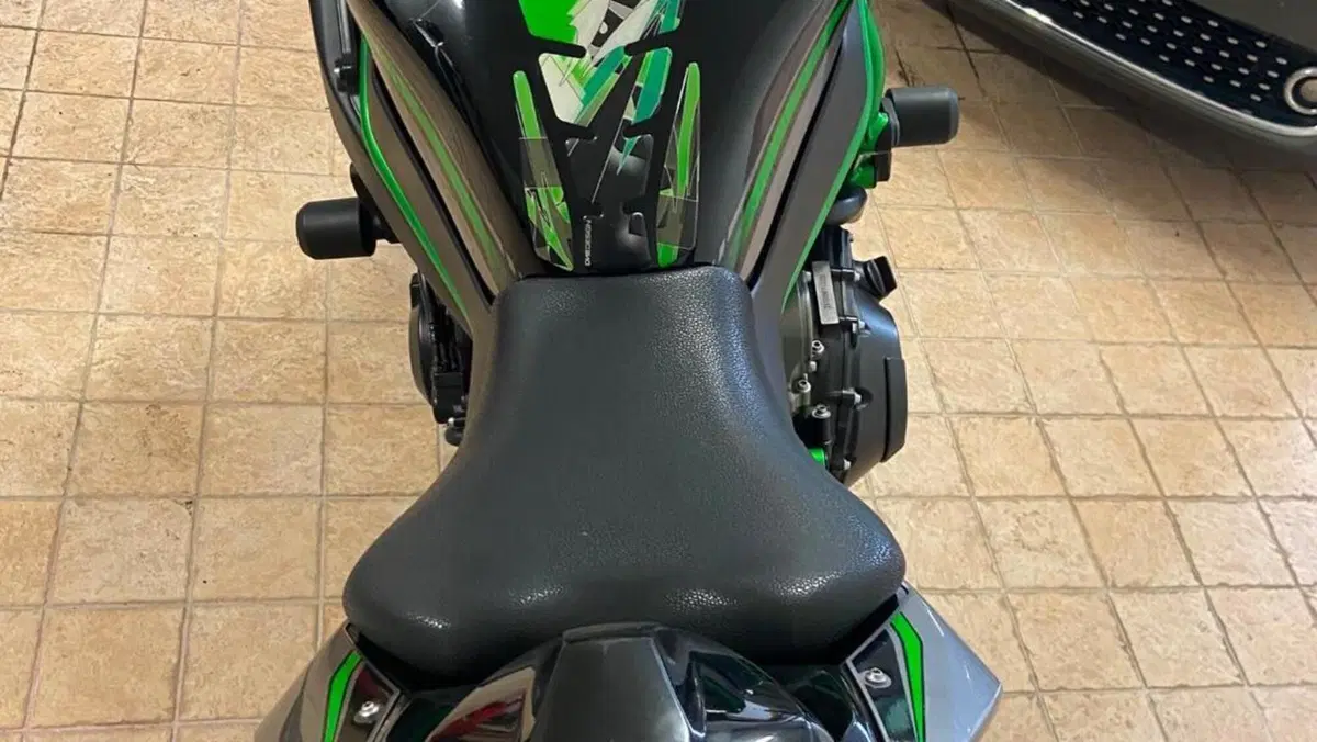 Kawasaki Z H2 (2020)  (7)