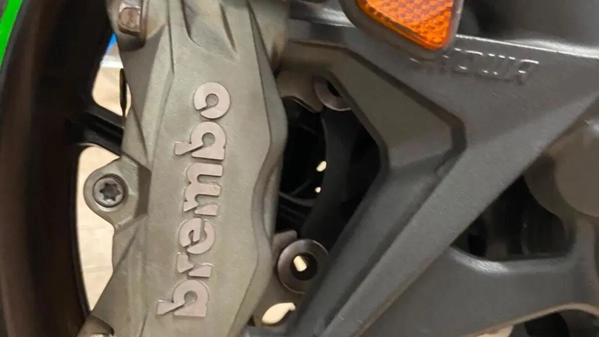 Kawasaki Z H2 (2020)  (9)