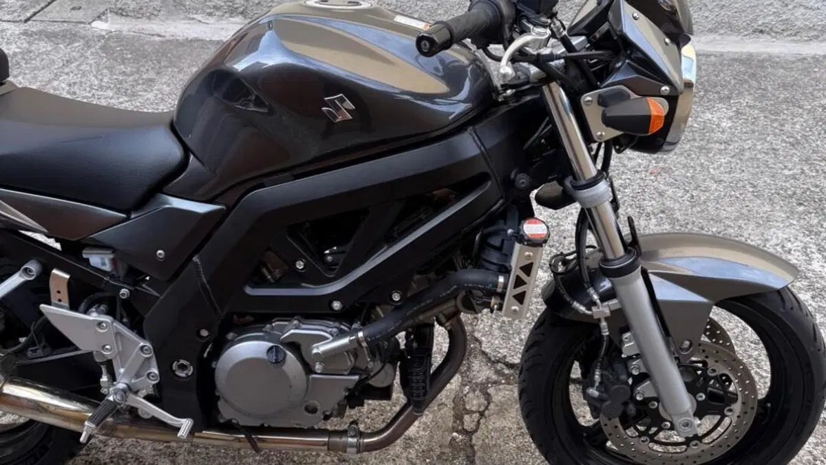 Suzuki SV 650 (2006 - 11)  (6)