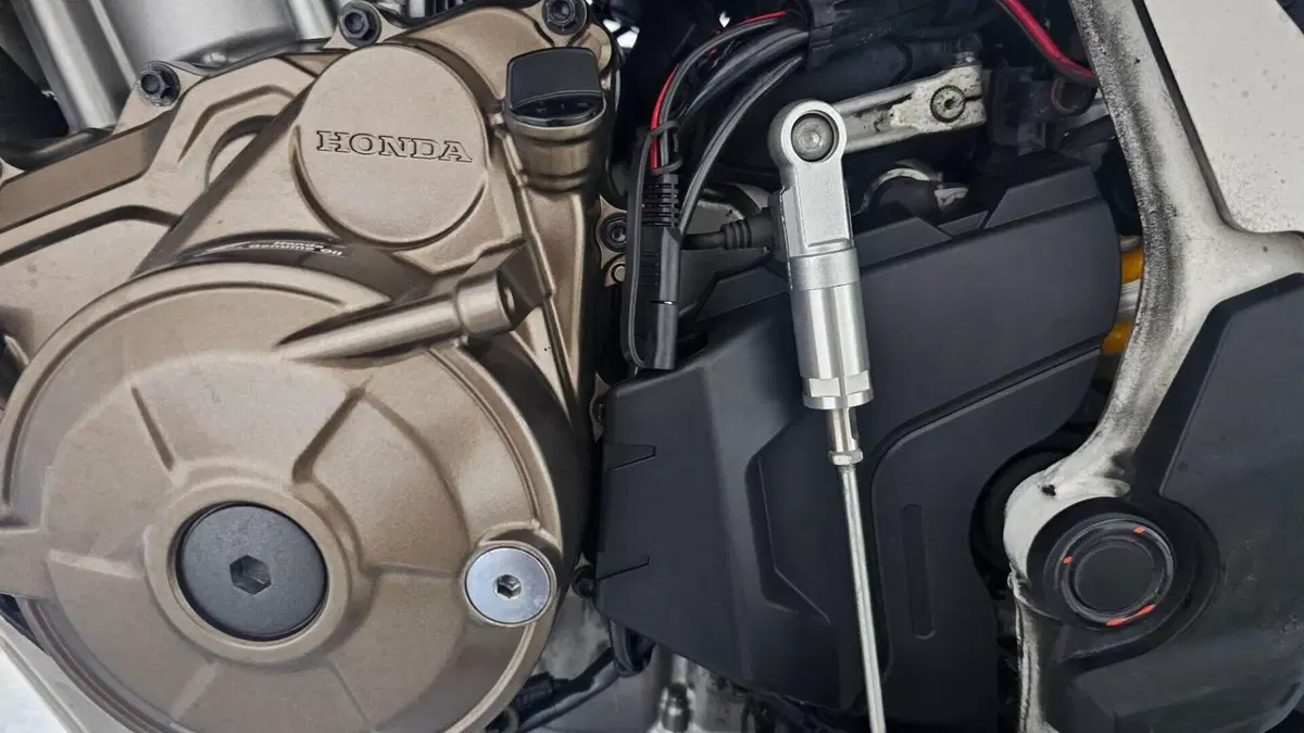 Honda Africa Twin CRF 1100L (2022 - 23)  (6)