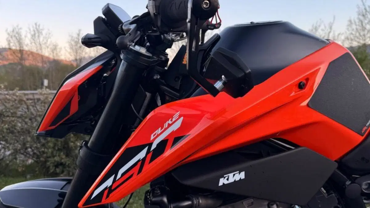 KTM 790 Duke L (2023 - 24)  (10)