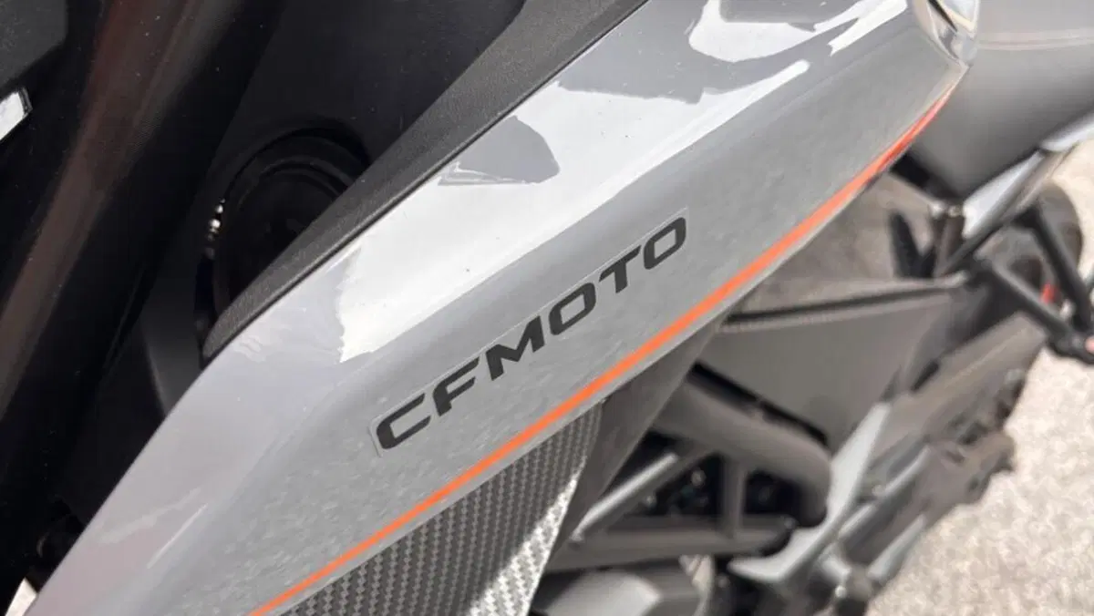 CFMOTO 300NK (2021 - 26)  (10)