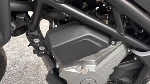 CFMOTO 300NK (2021 - 26)  (12)