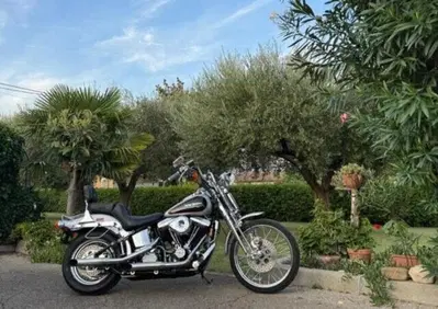 Harley-Davidson 1340 Springer (1990 - 98) - FXSTS - Annuncio 10090069