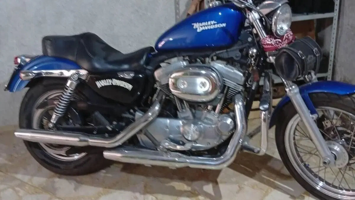Harley-Davidson 883 Custom (2008 - 12) - XL 883C 