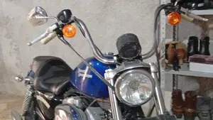 Harley-Davidson 883 Custom (2008 - 12) - XL 883C  (2)