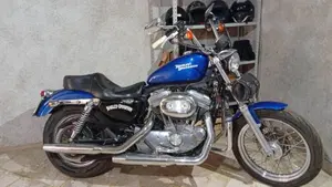 Harley-Davidson 883 Custom (2008 - 12) - XL 883C  (3)
