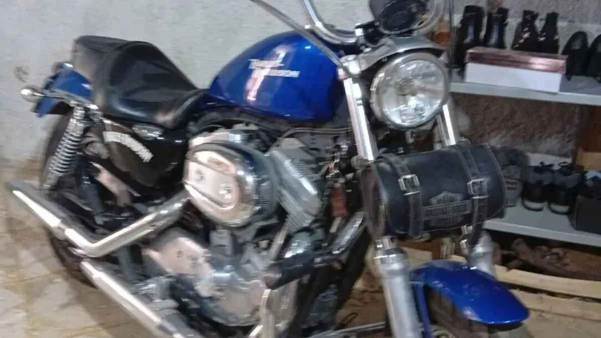 Harley-Davidson 883 Custom (2008 - 12) - XL 883C  (4)